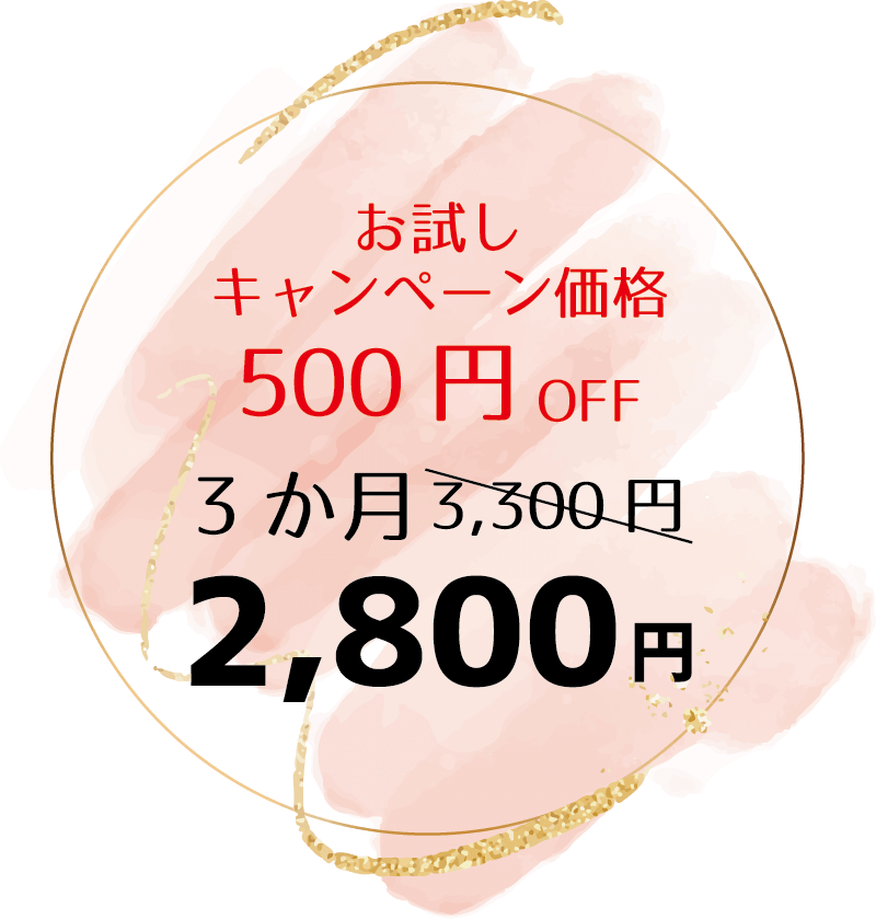お試しキャンペーン