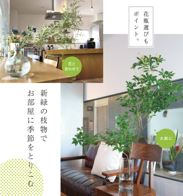 新緑の枝物でお部屋に季節をとりこむ　ー花瓶選びのポイントー