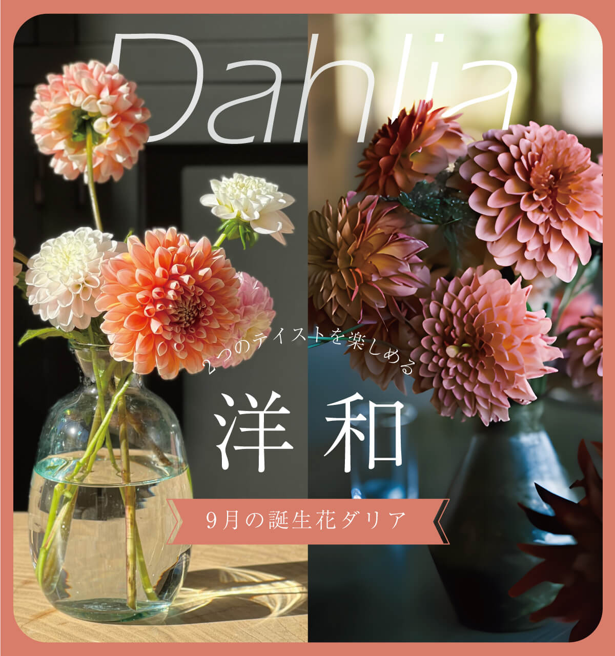 9月の誕生花 ～ダリアの楽しみ方～