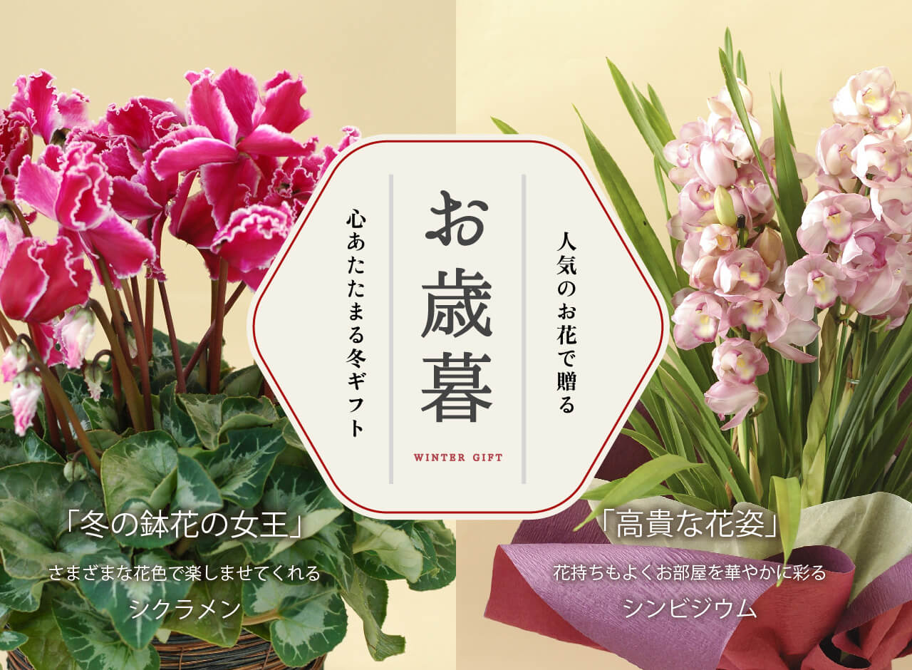 人気のお花で贈るお歳暮～心あたたまる冬ギフト～