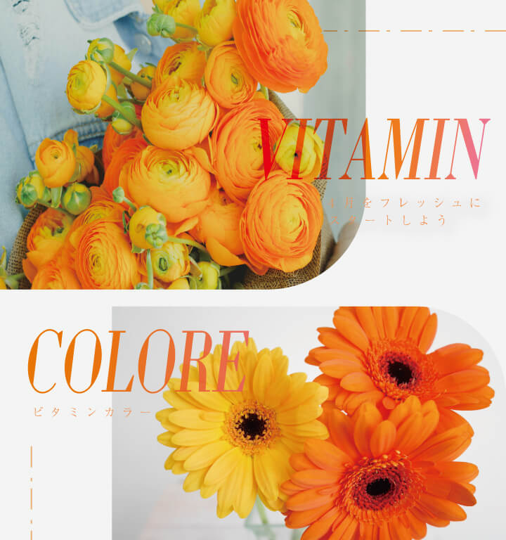 もう難しくない！ビタミンカラーコーデのコツをご紹介します◎