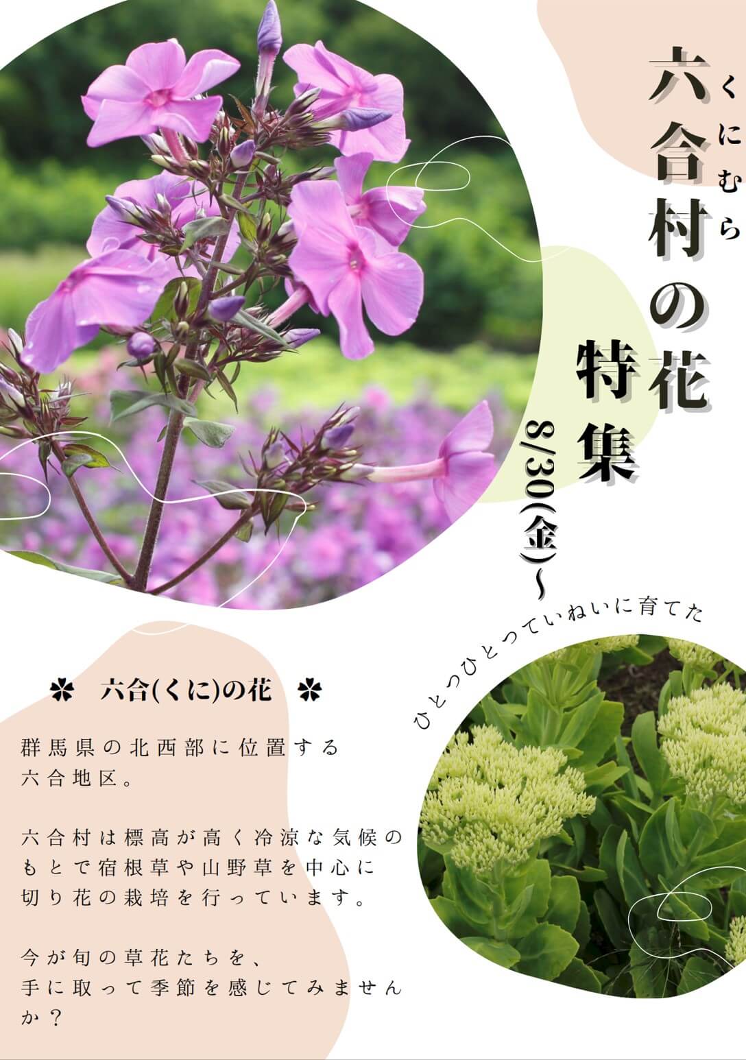 ー六合村の花特集ー
