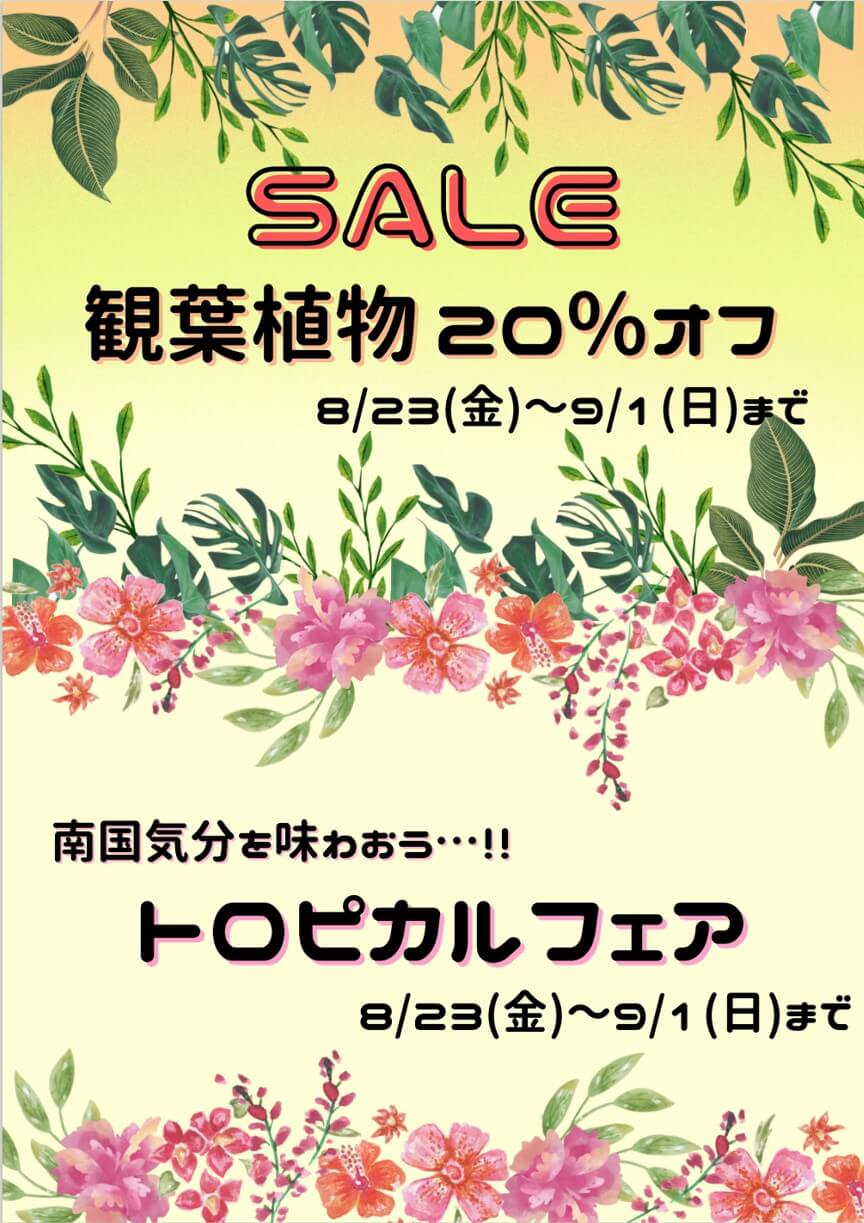 夏真っ盛り！南国のリゾートホテルのようなお部屋作りはいかがでしょうか