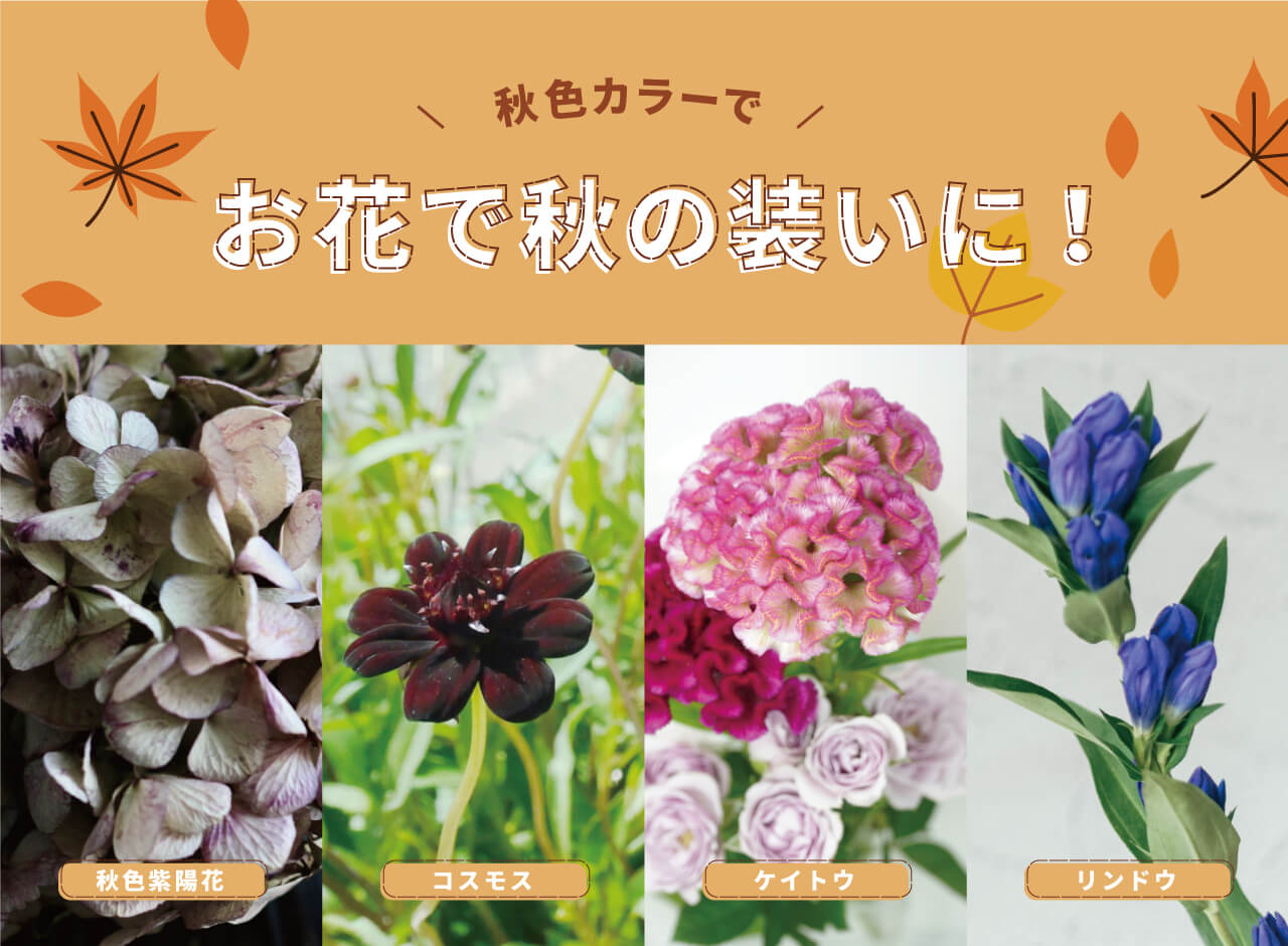 秋色カラー