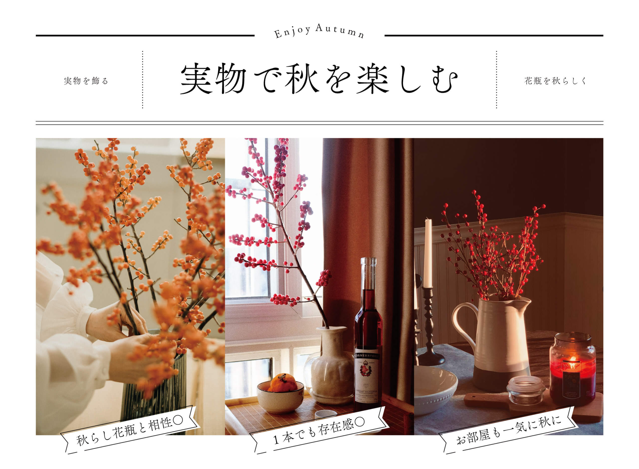 【実物で秋を楽しむ】