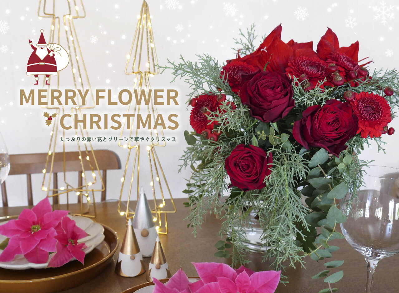 クリスマスカラーに込められた意味と年末セールのお知らせ