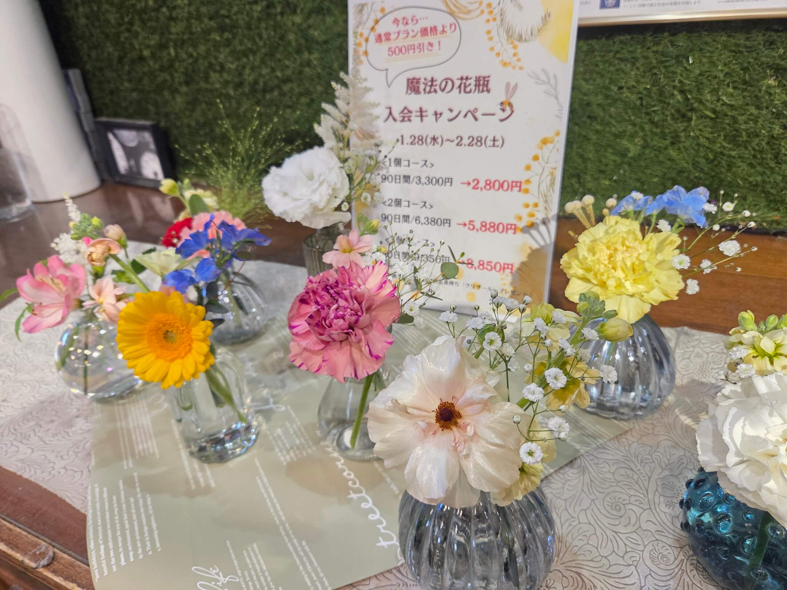 ―魔法の花瓶　入会キャンペーン＆Weekly SALEー