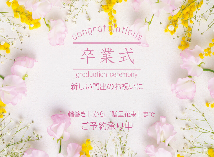 🌷卒業される方へ、お花はいかがですか🌷