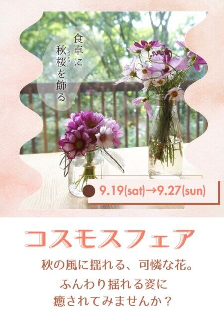 コスモス＆ダリアフェア