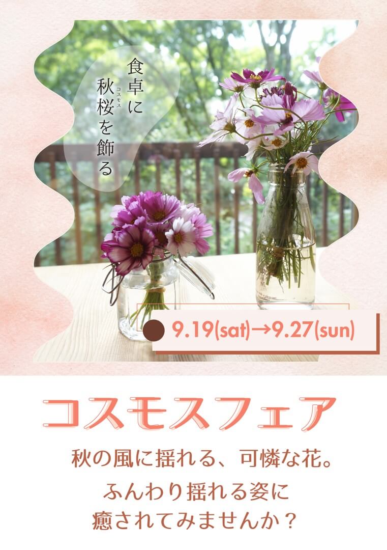 コスモス＆ダリアフェア