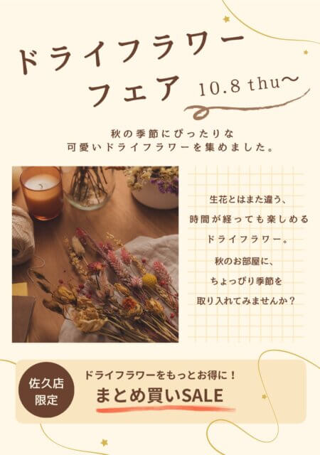 —　秋はドライフラワーを楽しもう！　—